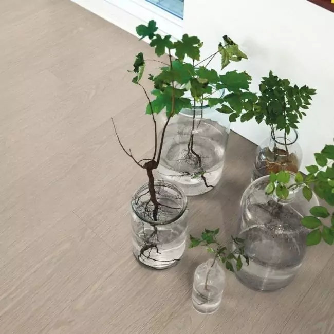 Виниловый ламинат Optimum Classic Plank Glue Дуб Дворцовый (V3201-40015)