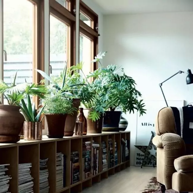 Виниловый ламинат Optimum Classic Plank Glue Дуб Нордик Белый (V3201-40020)