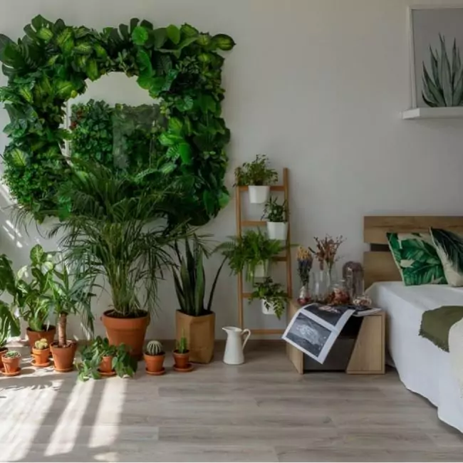 Виниловый ламинат Glue Дуб Ален (rich) 20468 (10-010-00696)