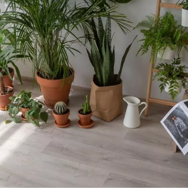 Виниловый ламинат Glue Дуб Ален (rich) 20468 (10-010-00696)