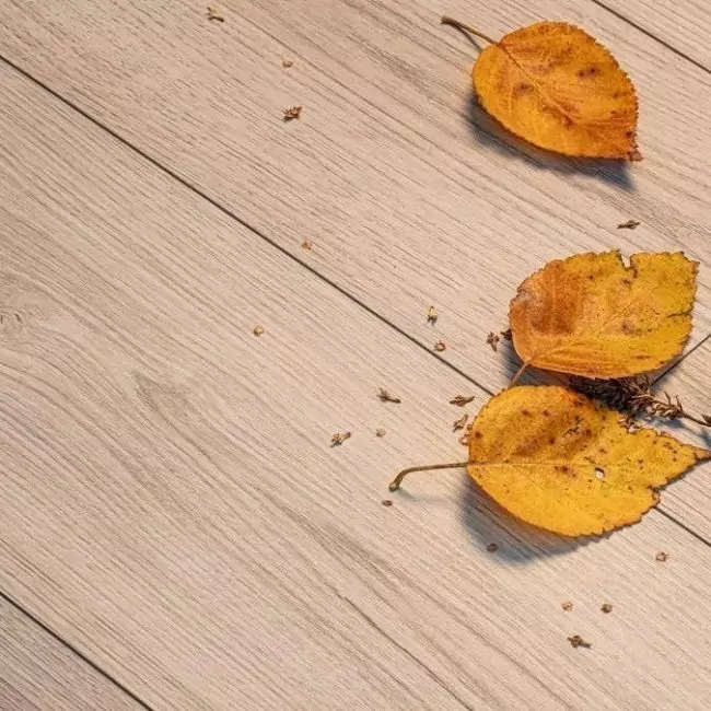 Ламинат Natural Touch 8 Широкая Дуб Sandolo К4425 Ri (10-010-04820)