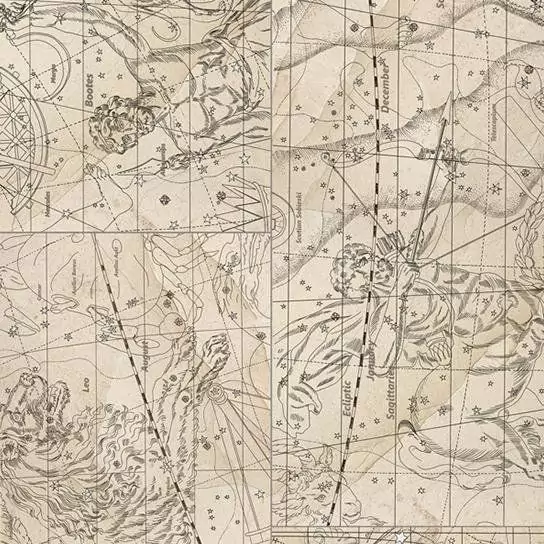 Виниловый ламинат Stone Zodiak (37-010-00011)