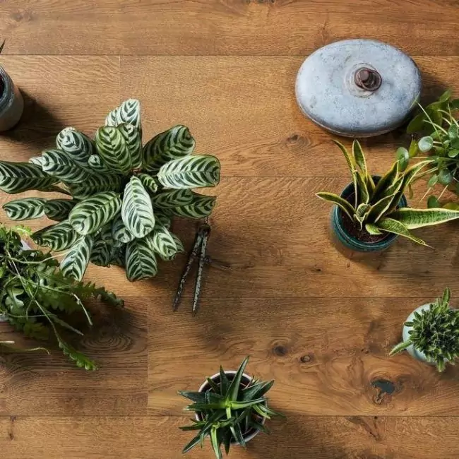 Широкий паркет Hd 400 Lindura Дуб Аутентик Драй Вуд 320мм 8748 (10-010-03114)