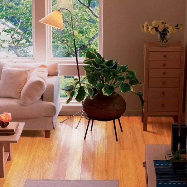 Однополосная инженерная доска  Ироко Селект (16-004-0055)