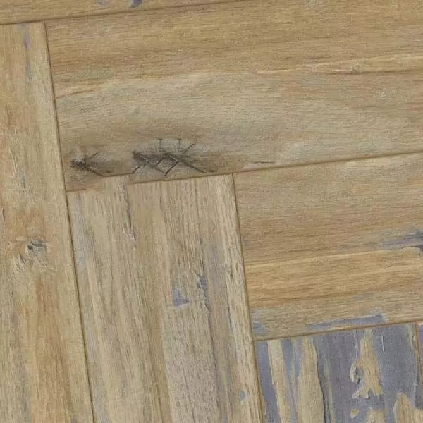 Ламинат Koruna Орех Орлик 806 (10-009-07870)