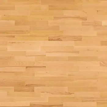 Спортивный паркет Sport Training Бук FAMILY трёхполосный (BS1-BKN3-LIF-XXX-D15207-F)
