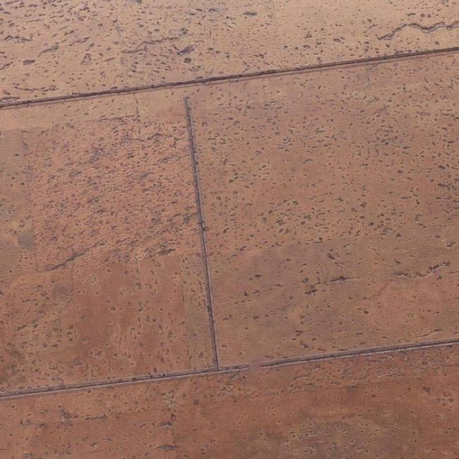 Пробковое покрытие Narrow Plank Cu3 186w Ml X (21-014-00047)