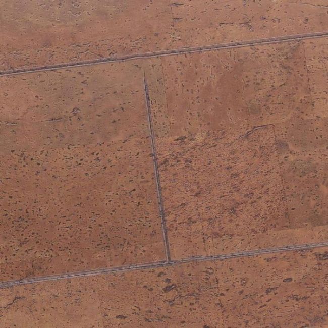 Пробковое покрытие Narrow Plank Cu3 186w Ml X (21-014-00047)