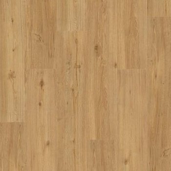 SPC ламинат Basic 5.3 Spc Дуб Натуральный (1743004)