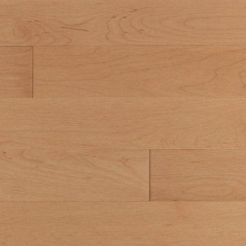 Массивная доска Design Programm + Канадский Твердый Клён Гальяно (14-003-10062)