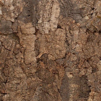 Пробка Exotic Mato (YR 03 001)