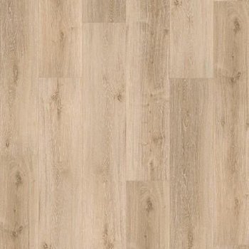 SPC ламинат Basic 5.3 Spc Дуб Роял Светлый Лайм (1743006)