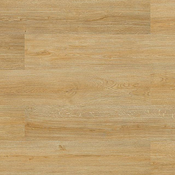 Пробка Authentica Elegant Light (E1XG 001)