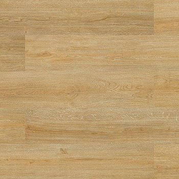 Пробка Authentica Elegant Light (E1XG 001)