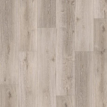 SPC ламинат Basic 5.3 Spc Дуб Серый Побеленный (1743001)