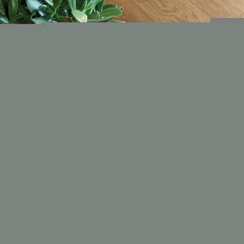 Массивная доска Sonate 14мм Массив Дуба Дуб Аутентик Масло Натуральное 140 (1000033)