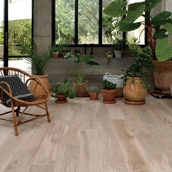 Паркетная доска Diva 184 12мм Clic Hdf Дуб Зенитюд Масло Белый Песчаник (1007319)